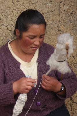 Spinning wool