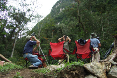 Bird watching above Leymebamba