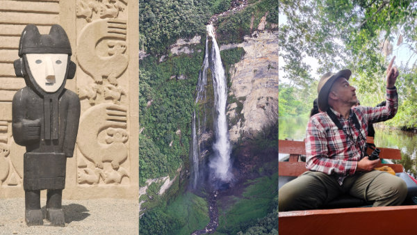 Three forest types on Northern Peru Forest Tour