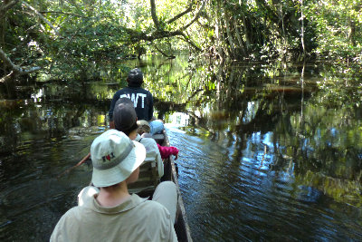 Enjoying the forest of Tingana